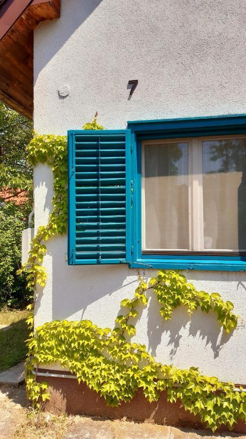 Villa Szalakota Haz Balatongyörök Exterior foto